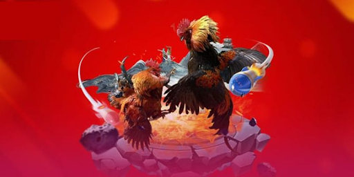 Điều Gì Khiến Đá Gà Key88 "Gây Nghiện" Không Ngừng